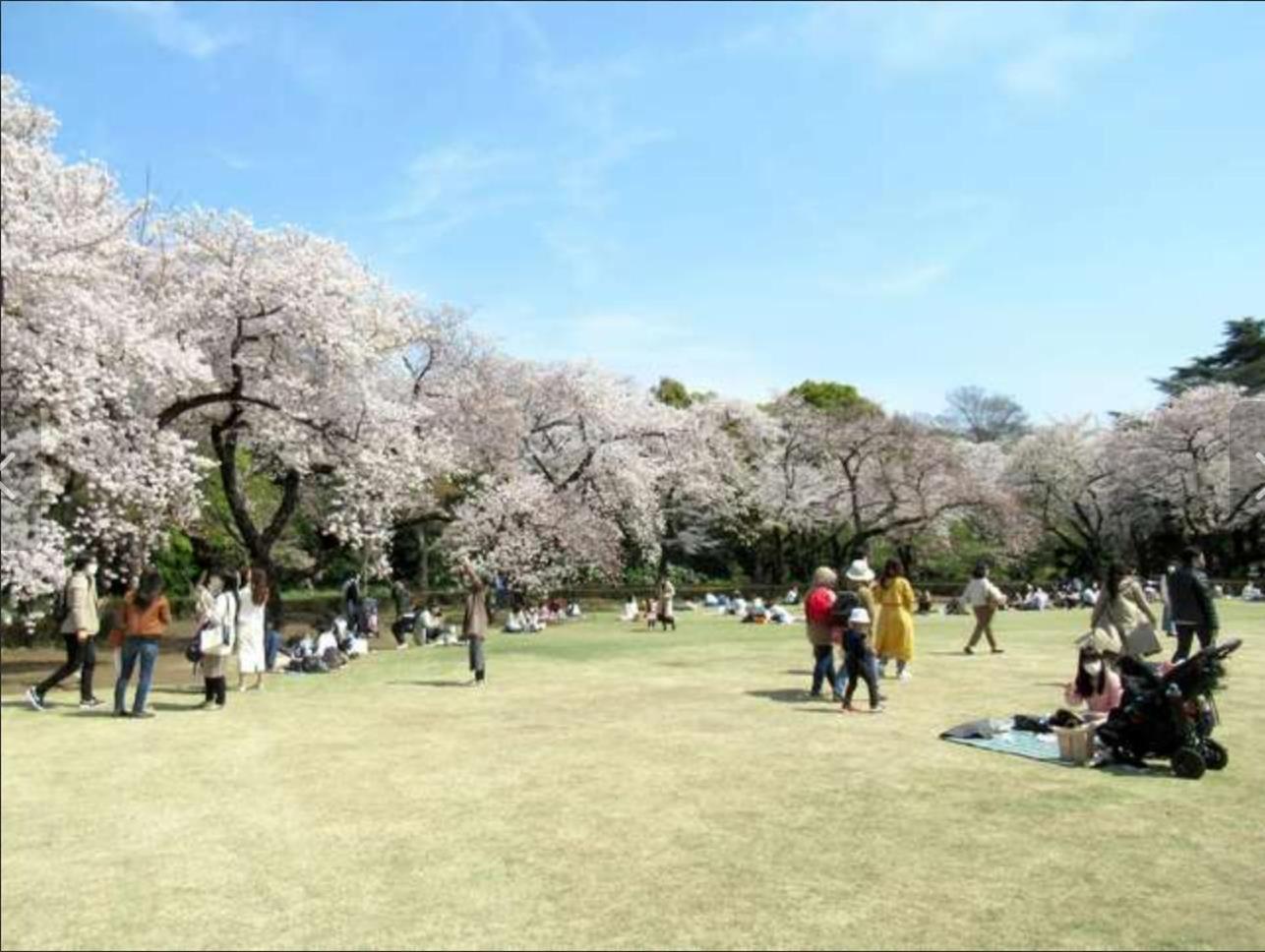 诚信东新宿 Tokyo Luaran gambar